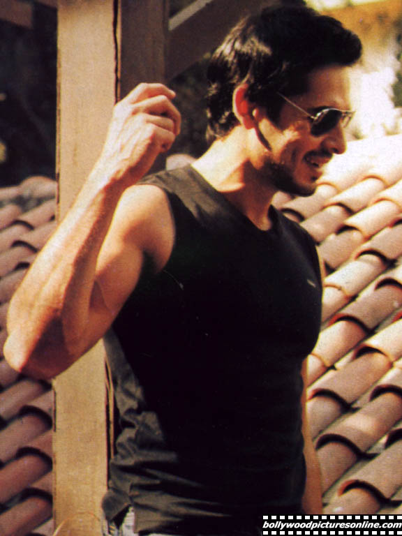 Dino Morea - dino_morea_005_hk.jpg