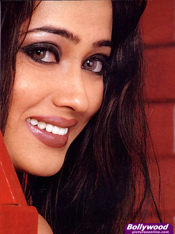 Shweta Tiwari - shweta_tiwari_005_ca.jpg